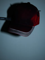 BIG BEAUTIFUL COIN SPRAY REFLECTOR CAP