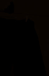 RECORD/VD		DenimBack