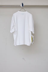 TEE/FVS_BS_ACID